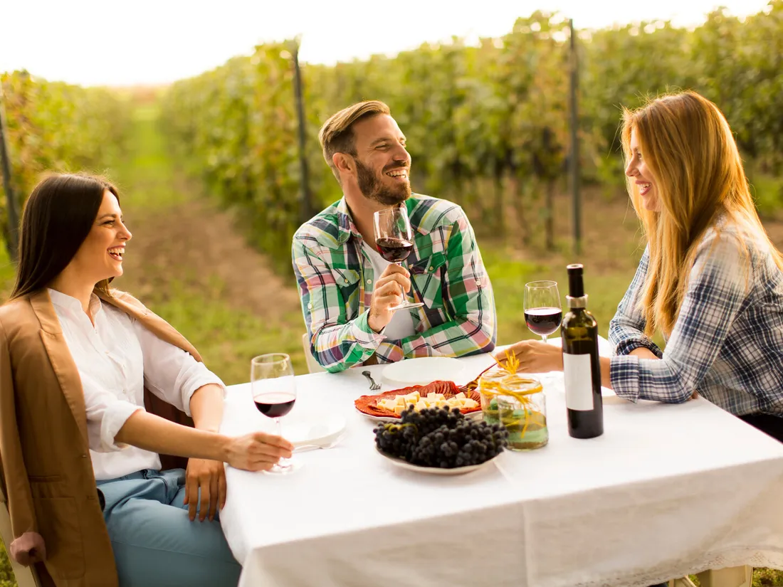Friends enjoying wine and food in a vineyard setting