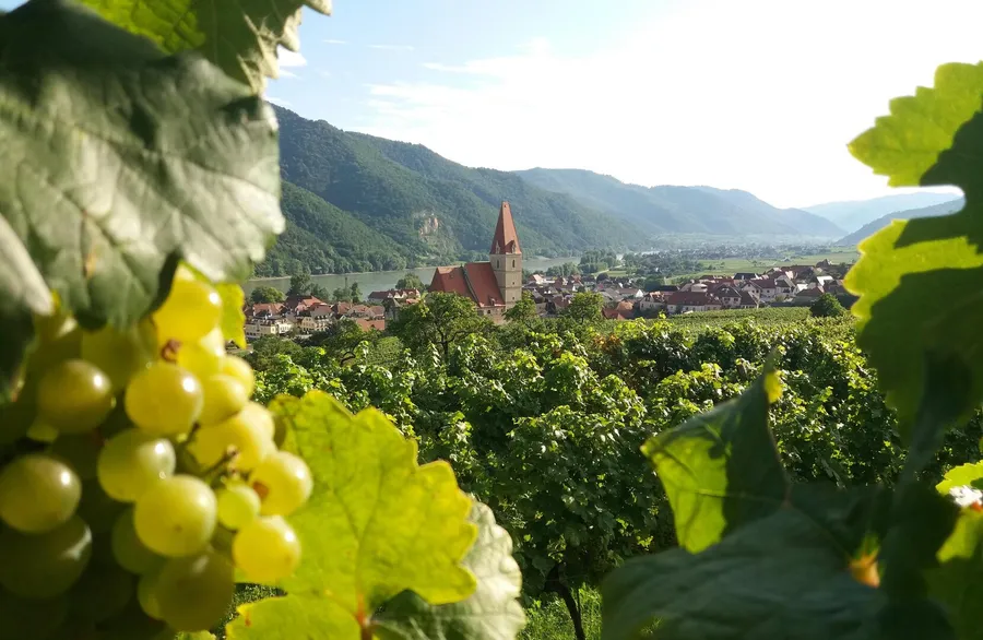 Village and vineyards in the Wachau valley